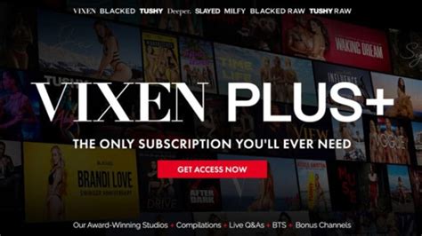 vixen blonde|Vixen Media Group